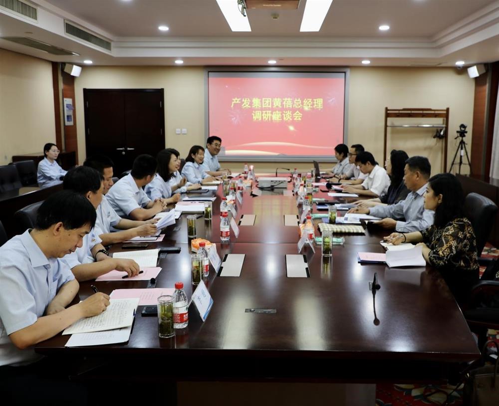 集团党委副书记、总经理黄蓓带队调研济南市工程咨询院